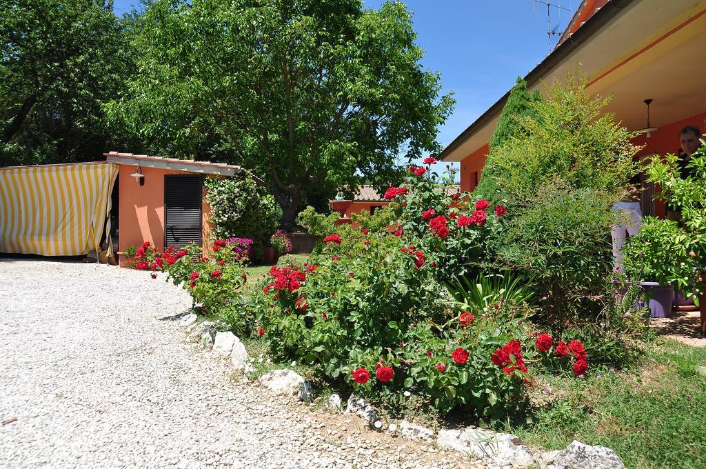 Rosemarie B&B Manciano Eksteriør billede